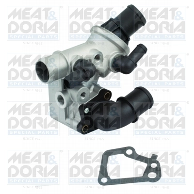 Thermostat, coolant